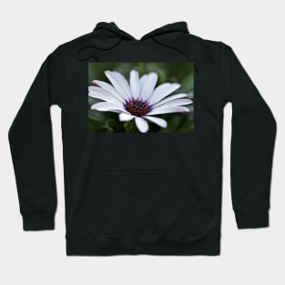 Soprano Solo Hoodie